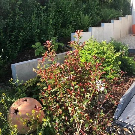 Angekommen Appartement Reinhardshausen